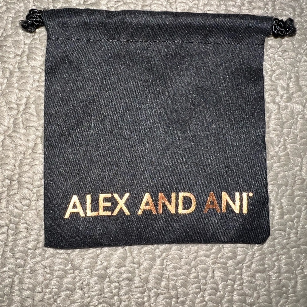 Alex and Ani Black Pouch with Gold Logo